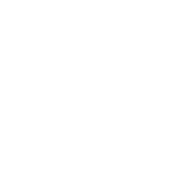 SMH (VanEck Semiconductor ETF)