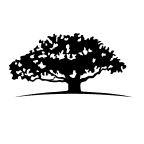 WisdomTree Cloud Computing Fund